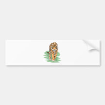Tiger Prowl Bumper Sticker