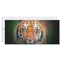 Tiger Rack Card