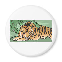 Tiger Resting