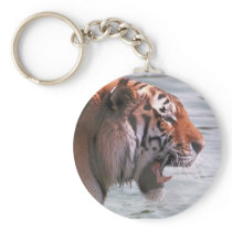 Tiger Roar Key Chains