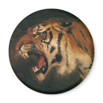 Tiger Roaring magnets