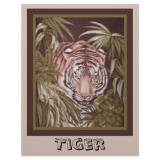 Tiger Scrapbook Paper letterhead