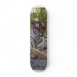 tiger-sermonti-002 custom skate board