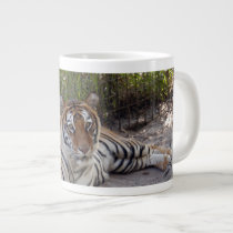 tiger-sermonti-003 mugs