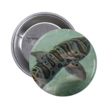 Tiger Shark Button