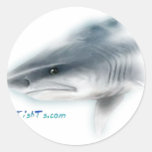 Tiger Shark Head Stickers