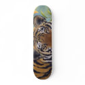 Tiger Skateboard