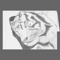 Tiger Sketch card cards