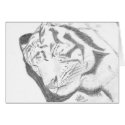 Tiger Sketch card