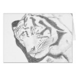 Tiger Sketch card