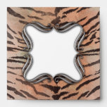 Tiger Skin Print in Tangerine Apricot envelopes