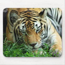 Tiger Sleeping in grass Mousepad by TeeShirtsTShirts Tiger Sleeping in grass Mousepad