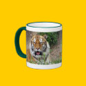Tiger Smile mugs by lakeerieartists Tiger Smile mugs