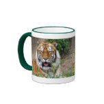 Tiger Smile
