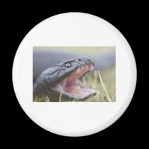 Tiger Snake magnets