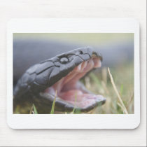 Tiger Snake mousepads