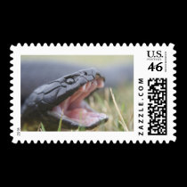 Tiger Snake stamps