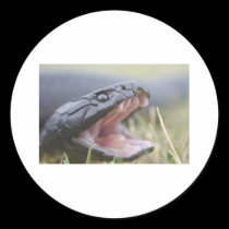 Tiger Snake stickers