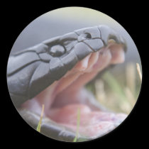 Tiger Snake stickers