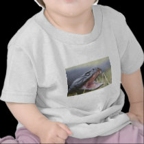 Tiger Snake t-shirts