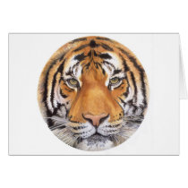 "Tiger Spot" on White, Watercolor Art Greeting Card