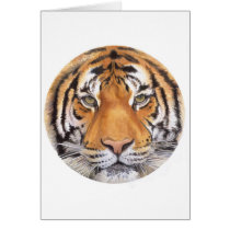 "Tiger Spot" on White, Watercolor Art Cards