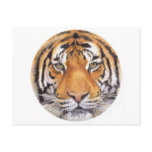 "Tiger Spot" on White, Watercolor Art