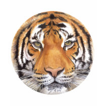 "Tiger Spot" on White, Watercolor Art t-shirts