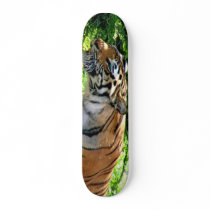 Tiger Stalking Skateboard by dduhaime55 Tiger Stalking Skateboard