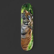 Tiger Stalking Skateboard by dduhaime55 Tiger Stalking Skateboard