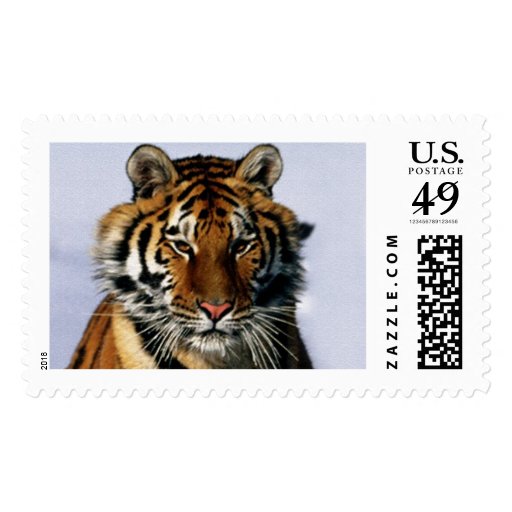 tiger stamp Zazzle