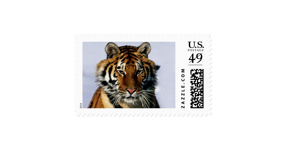 tiger stamp Zazzle