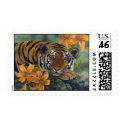 Tiger Stamp by Laura_Regan_Artist Tiger Stamp