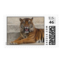 Tiger Stamp