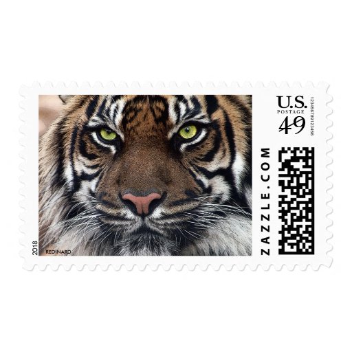 Tiger Stamps Zazzle