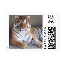 Tiger Stamps