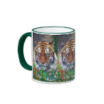 Tiger Stare