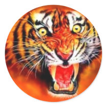Tiger stickers by art_grande Tiger stickers