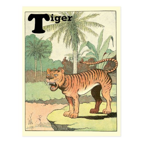 Tiger Storybook