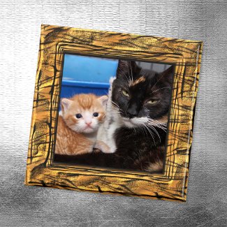 Tiger Stripes Photo Frame Magnet magnet