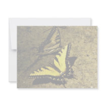 Tiger Swallowtail Butterfly invitations by animalpark Tiger Swallowtail Butterfly invitations