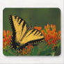 Tiger Swallowtail Butterfly Mousepads