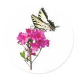 Tiger Swallowtail Butterfly on Azaleas Sticker