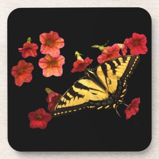 Tiger Swallowtail Butterfly on Red Flowers Coasters