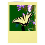 Tiger Swallowtail Butterfly on Wild Flowers Card