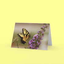 Tiger Swallowtail Card