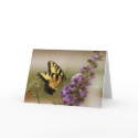 Tiger Swallowtail Card by shellmart Tiger Swallowtail Card