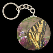 Tiger Swallowtail Keychain keychains