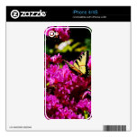 Tiger Swallowtail on Azalea iPhone 4S Skin