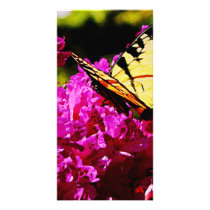 Tiger Swallowtail on Azalea Custom Photo Card